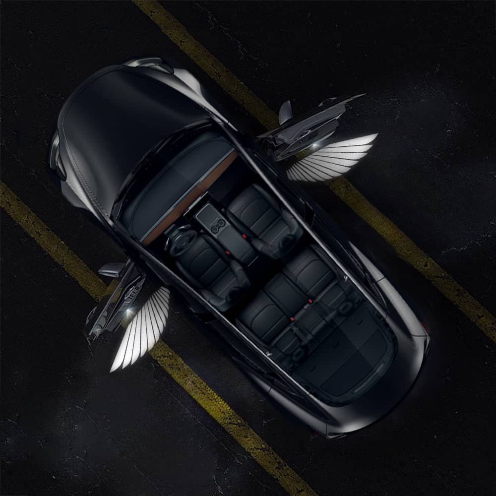 FACIA Angel Wings Door Welcome Lights for Model 3/Y/S/X