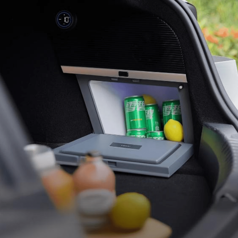 FACIA Model 3 Highland Rear Trunk Refrigerator