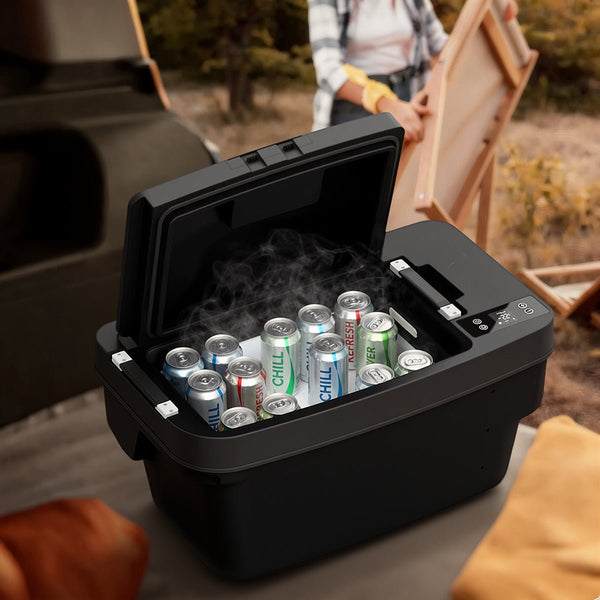 FACIA Car Refrigerator in Trunk for Model 3/Y TESERY