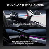 FACIA Cybertruck Smart BSD Blind Spot LED Ambient Lighting Kit TESERY