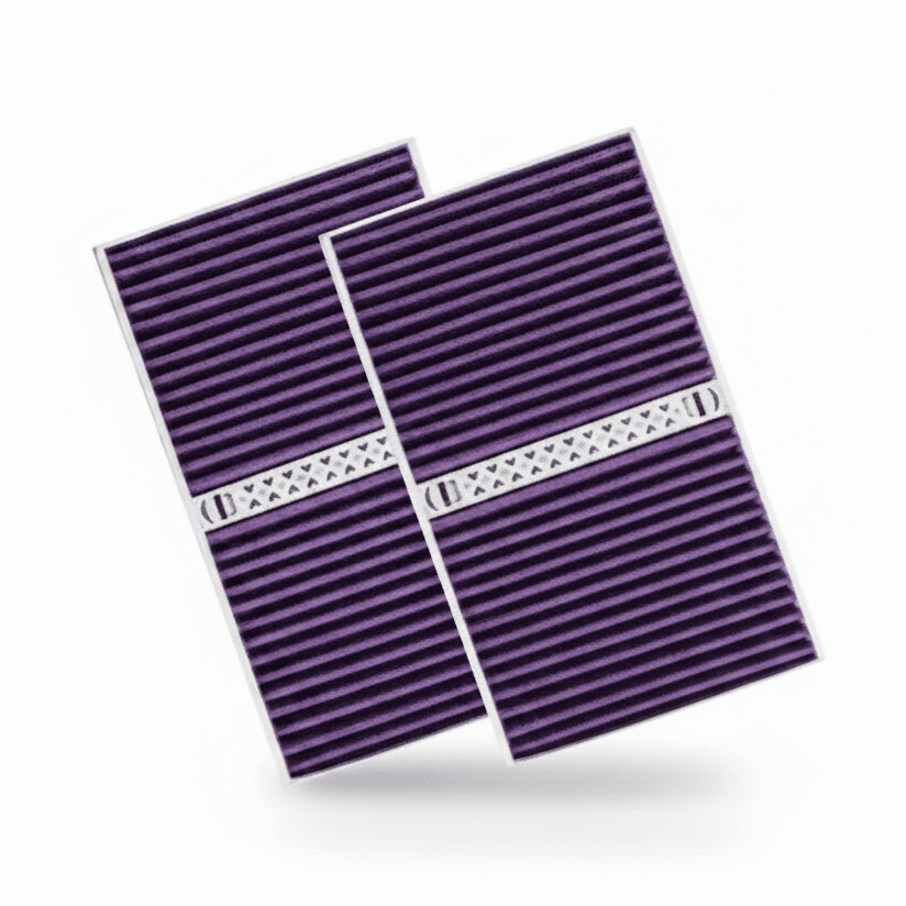 FACIA HEPA Cabin Air Filter with Built-in Aromatherapy Pods for Model Y (20-26)