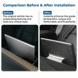 FACIA Model 3 / Y Display Cover Dry Carbon Fiber Interior Mods