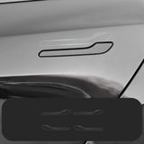 FACIA Protection Film For Telsa Model 3/Y