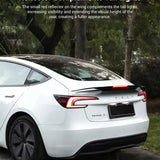 FACIA Rear Led Spoiler for Model 3 Highland / Model Y TESERY