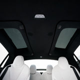 FACIA Side Car Window Sunroof Sunshades for Model X