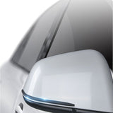 FACIA Side Mirror Trim Strip Cover for Tesla