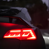 FACIA TESERY Full LED Tail Light for Tesla Model 3/Y