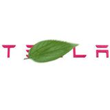 FACIA Tailgate Lettered Rear Logo Replacement For Tesla Model 3/Y