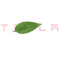 FACIA Tailgate Lettered Rear Logo Replacement For Tesla Model 3/Y