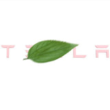 FACIA Tailgate Lettered Rear Logo Replacement For Tesla Model 3/Y