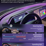 FACIA TESERY 8.9'' Dashboard Display with Ambient Lighting for Model 3 Highland / Model Y Juniper