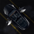 FACIA Angel Wings Door Welcome Lights for Model 3/Y/S/X