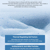 FACIA TESERY Camping Mattress for Tesla Model 3/Y