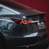 FACIA TESERY Dragon Scale Tail Lights for Model 3/Y