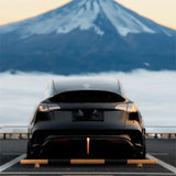 FACIA TESERY Dragon Scale Tail Lights for Model 3/Y