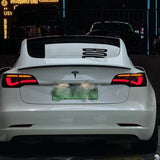FACIA TESERY Dragon Scale Tail Lights for Model 3/Y