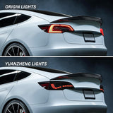FACIA TESERY Dragon Scale Tail Lights for Model 3/Y