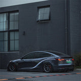 FACIA TESERY Dragon Scale Tail Lights for Model 3/Y
