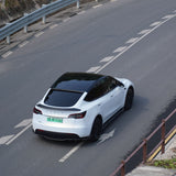 FACIA TESERY Model 3 / Y Carbon Fiber Spoiler V-Style