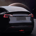 FACIA Pilot Light for Model?Y (2020-2025.03)