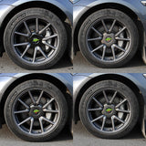 FACIA Tesla Model 3 18?¡¥ Hubcaps Cover Wheels Center Caps 2017-2023