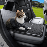 FACIA Trunk Mat Waterproof Car Dog Cover for Model Y TESERY