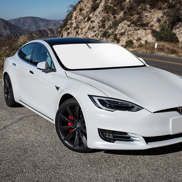 From the beginning to the future, focusing on Tesla